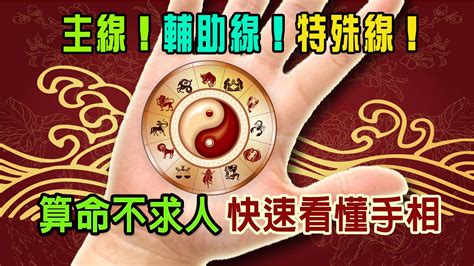 針線算命|【算命不求人】快速看懂手相